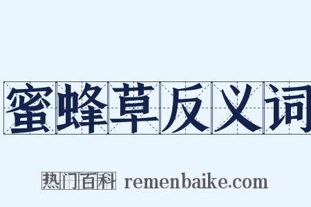 蜜蜂草反义词是什么意思的图片